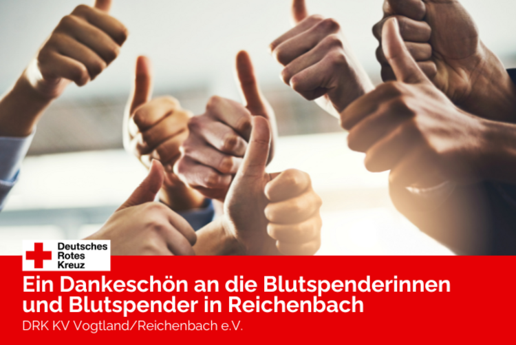 Viele Hände mit dem Daumen nach oben für ein PRIMA!