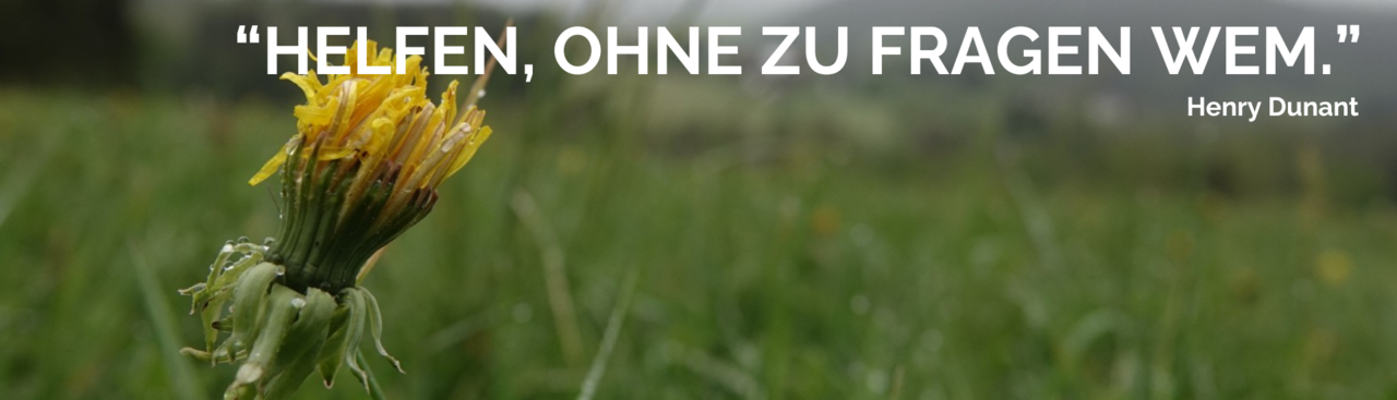 geschlossene Löwenzahnblüte am morgen, Text: helfen, ohne zu fragen wem (Zitat von Henry Dunant)