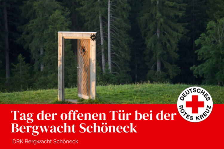 Wald mit grüner Wieder auf der eine offene Holztüre steht. Der Türrahmen steht mitten in der Wiese.