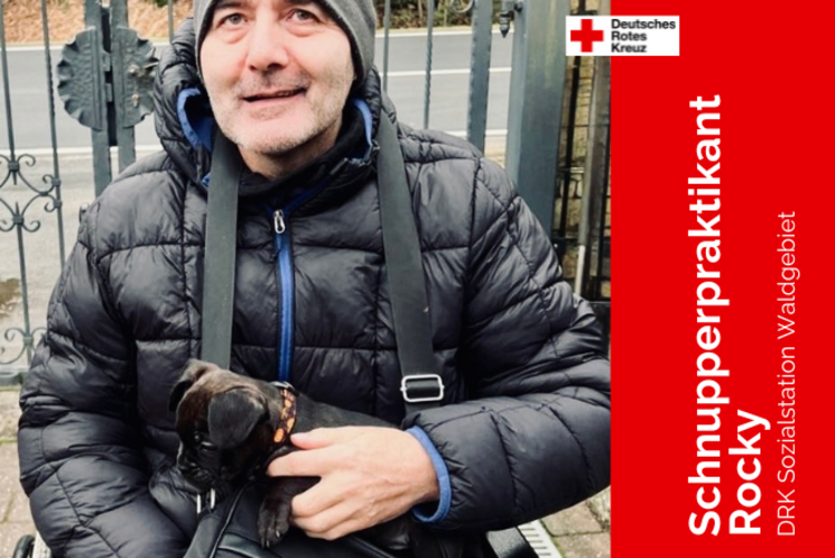 Mensch im Rollstuhl mit französischer Bulldoge im Arm