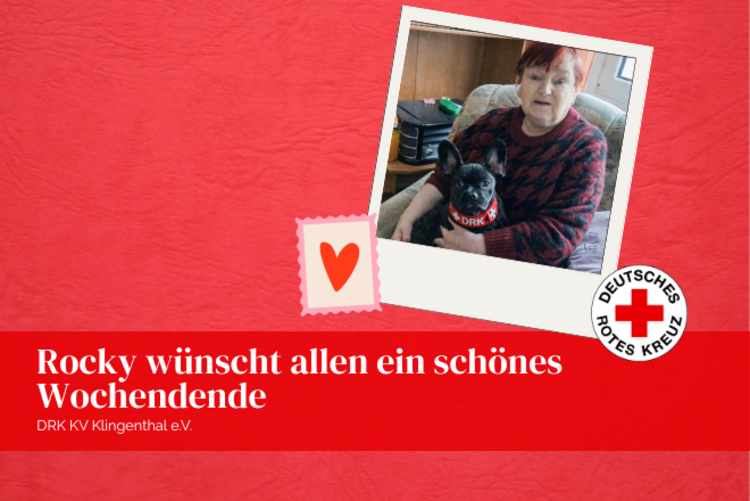 Unsere kleine französische Bulldoge Rocky sitzt auf dem Schoß einer Patienten und trägt ein DRK - Halsband. Beide schauen in die Kamera.